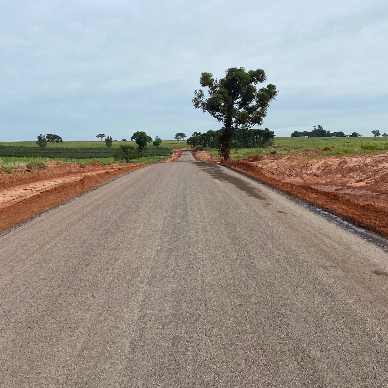 Pavimentação da Estrada Vai Quem Quer impulsiona mobilidade e desenvolvimento rural em Maria Helena